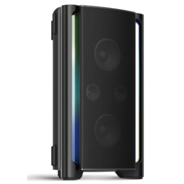 220 Watt Party Speaker
