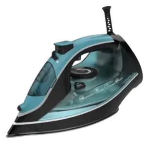 2200 Watt Steam Iron