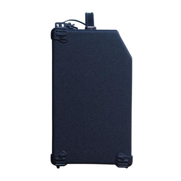 Deviser TG-25 Guitar Amplifier (25 Watts)-Black - Image 4