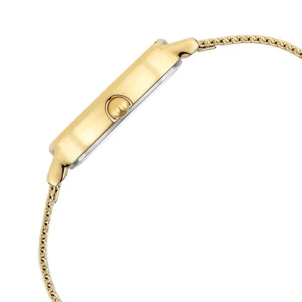 Titan Raga Viva Champagne Dial Analog Stainless Steel Strap watch for Women - Image 4