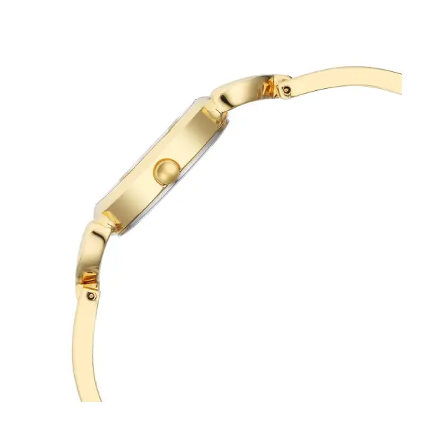 Titan Raga Champagne Dial Watch for Women - Image 5