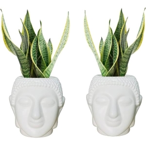 Ceramic Buddha Head Planter Pot For Plants Flowers Succulents 4" Face Flowers Pots For Indoor Outdoor Plants Gift For Friends And Family