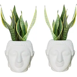 Ceramic Buddha Head Planter Pot For Plants Flowers Succulents 4" Face Flowers Pots For Indoor Outdoor Plants Gift For Friends And Family