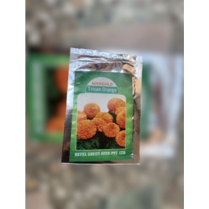 100 Seeds Marigold Flower Seeds Trisan Orange
