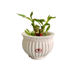 Kanha Matki 5 Inch Flower Pot For Indoor Outdoor Garden | Break Resistant Fade Resistant Flower Pot - 5 Inch