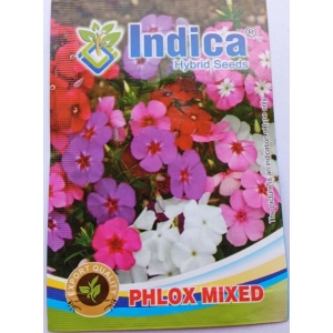 1 Packet Phlox Mixed Flower Seeds 2 Gram