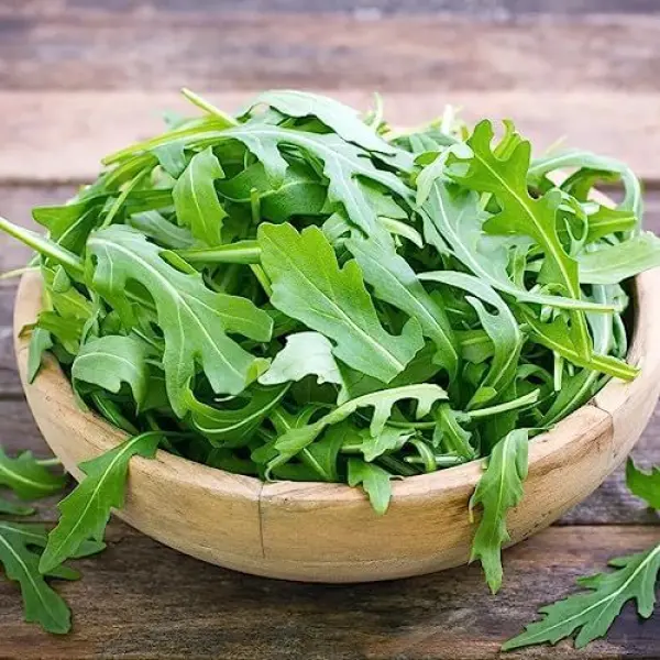 HERB Seed - 1 Packet ROCKET ARUGULA WILD CUT Omaxe Seeds By Savyata Stores For Kitchen Garden - Image 3