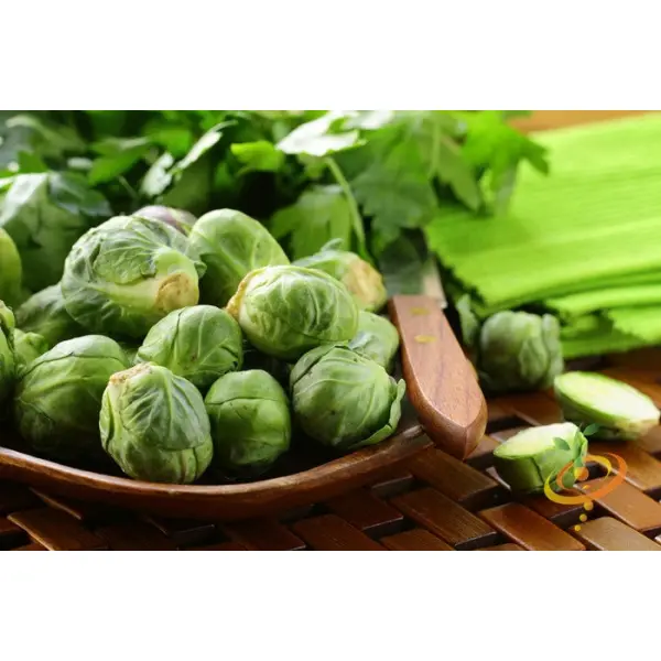 1 Packet Vegetable Seeds - Brussel Sprouts Seeds 20+ Plus Vegetable Seeds - Image 3