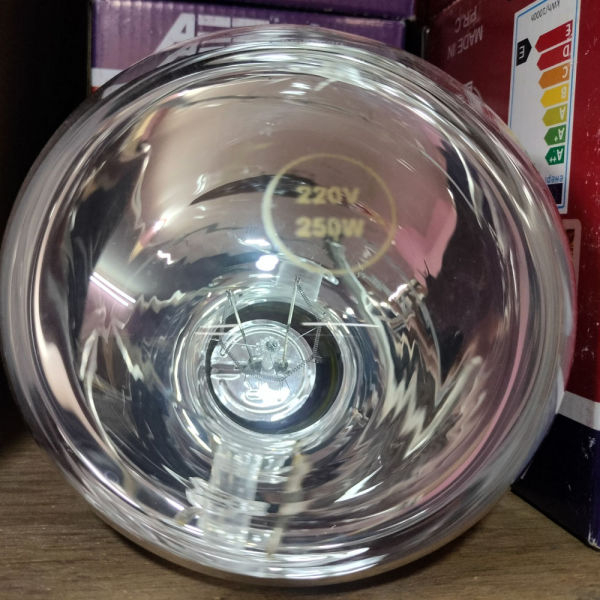 Infrared Red/Warm Color Infrared Bulb 200 Watts For Brooding And Therapy - Image 5
