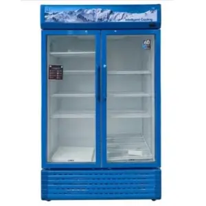 1000 Liter Double Door Showcase