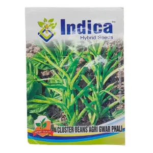 Vegetable Seed - 1 Packet Cluster Beans Agri Gwar Phali Seeds By Savyata Stores For Kitchen Garden