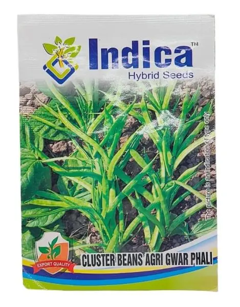 Vegetable Seed - 1 Packet Cluster Beans Agri Gwar Phali Seeds By Savyata Stores For Kitchen Garden