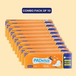 PADelux Sanitary Pads Dry Feel, 240mm- 6Pads (pack of 10)