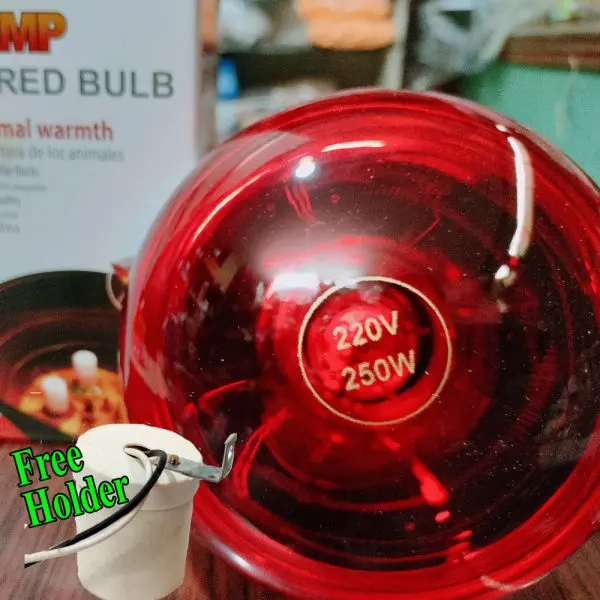 Infrared Bulb 250 watts For Brooding And Heat Therapy - Image 2