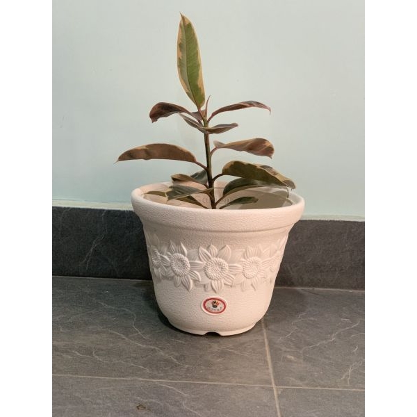 10 Inch Beautiful Flower Pot For Indoor Outdoor Garden - Image 2