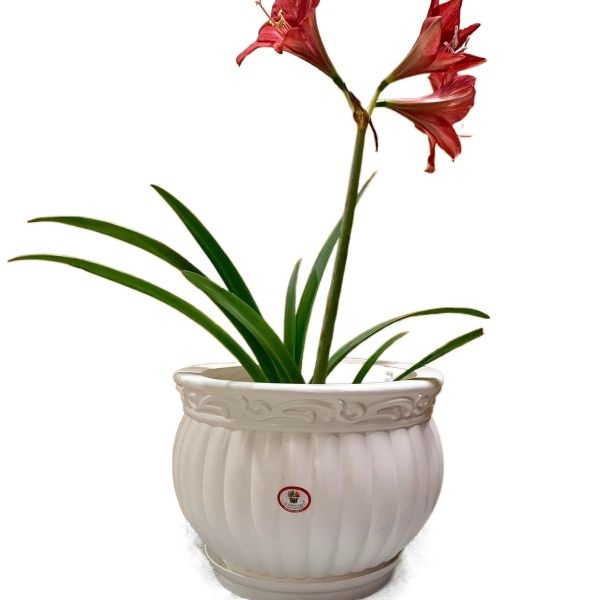 Kanha Matki 12 Inch Flower Pot ( With Plate ) For Indoor Outdoor Garden - Image 2