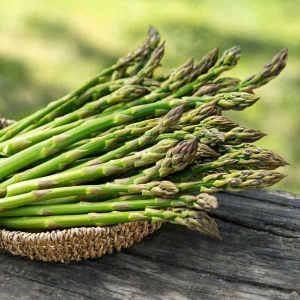 All Time All Seasons Baramase Asparagus Mary Washington Variety 20 Plus Seeds Kurilo Seeds
