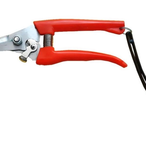 Lady Cutter Pruning Shear - Image 2