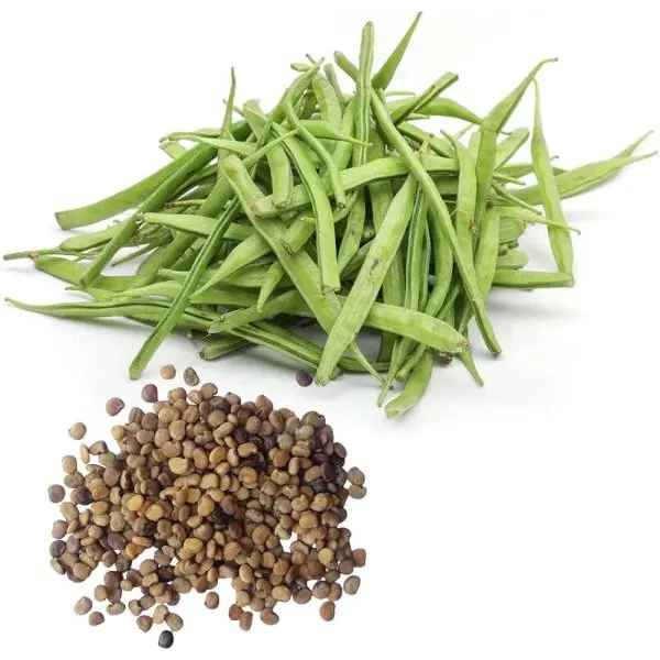 Vegetable Seed - 1 Packet Cluster Beans Agri Gwar Phali Seeds By Savyata Stores For Kitchen Garden - Image 3