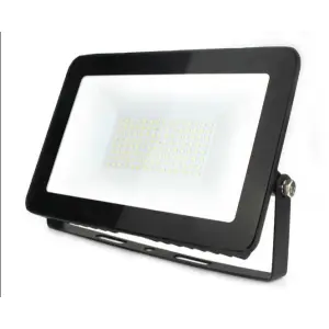 100 Watt Flood Light