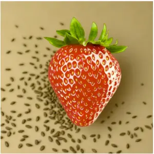 20+ Loose Packed Omaxe Strawberry Hybrid Seeds Alpine Fragaria