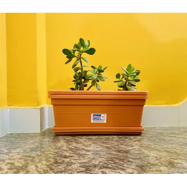 2 Sets Of Rectangular Plastic Flower Pot 6 * 15 Inches With Tray - Image 4