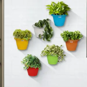 5pcs Multicolor Bagmati Half Round Planter / Flower Pot / Wall Hanging Basket