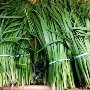 1 Packet Easy Grow Chives Imported Herb - 50 Plus Excellent Quality Selected Seeds Pack Herb Seeds