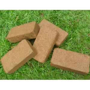 650gms Coco Peat For Garden Brick Size Cocopeat Light Weight Organic Growing Medium Expanding Soil Substitute
