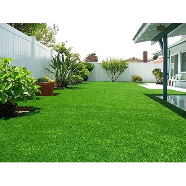 GRASS Seed - 1 Packet MEXICANE CARPET LAWN GRASS Omaxe Seeds By Savyata Stores For Kitchen Garden - Image 2