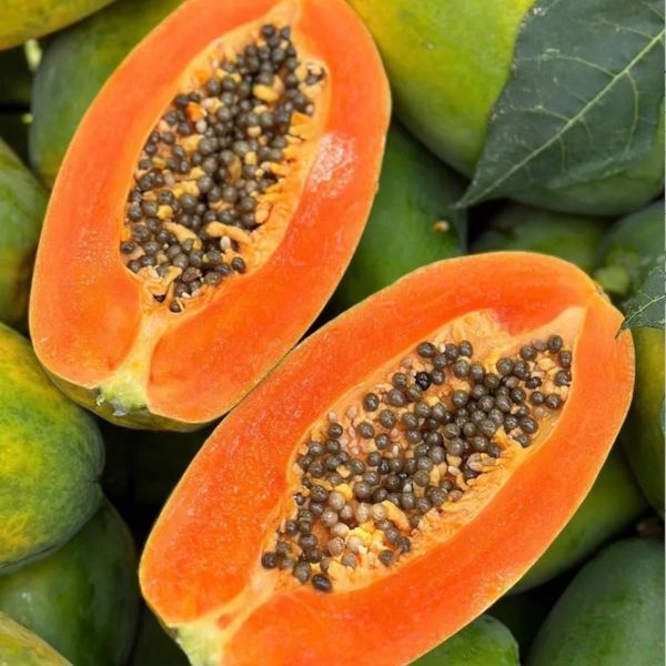 5 pcs Red Heart Creamy Papaya Seeds - The Best of Papayas for Your Home Garden - Rich, Sweet, and Nutrient-Packed Fruits - Image 2
