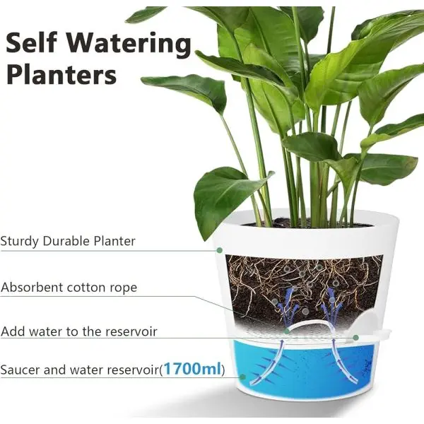 Self Watering Pot - Image 5