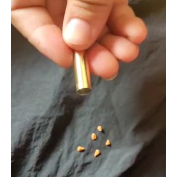 5 Seeds Of Narbada Red Rose Seeds With Golden Bu. Packing - Seeds | - Image 5