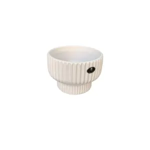 5.5 Inch Small Cute Ceramic Pot For Cactus