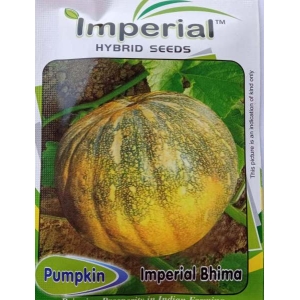 Vegetable Seeds - 1 Packet Bhima Pumpkin Seeds 2 Gram