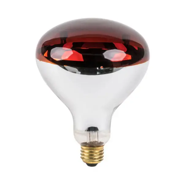 Infrared Bulb 250 watts For Brooding And Heat Therapy - Image 4