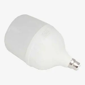 Borg LED Bulb Light 40W 1 Year Warranty