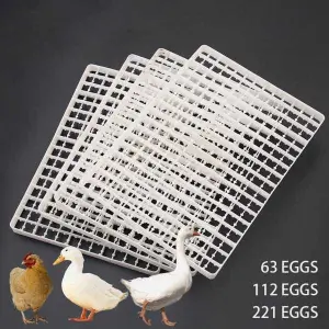 Pigeon Incubator Tray