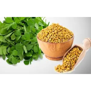 1 Packet Hybrid Kasturi-55 Methi Seeds