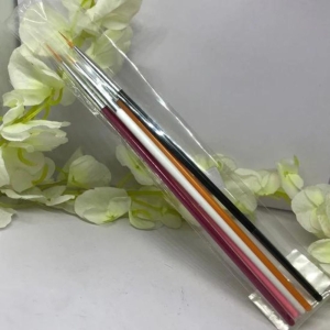 5Pcs Nail Art Brushes