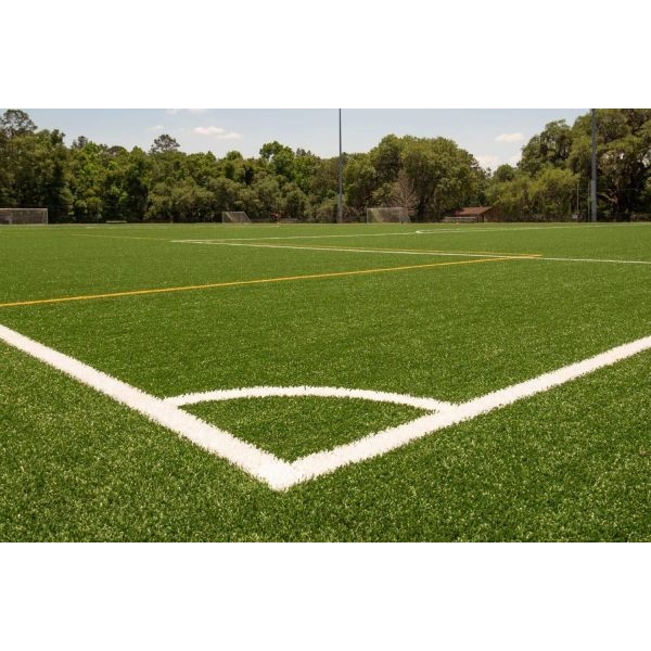 Sport & Field Carpet Lawn Grass Seeds – 5g Pack – Ideal for Kitchen Garden & Small Area Landscaping - Image 3