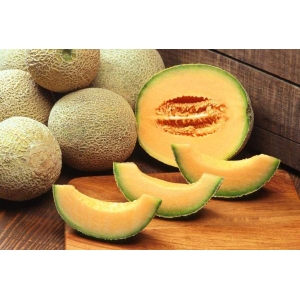 10 Seeds Of Excellent Quality Musk Melon Seeds - Seeds | Plantations |