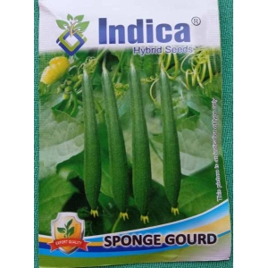 1 Packet  Sponge Gourd Seeds (घिरौला पुसा चिल्लो) 3 Gram