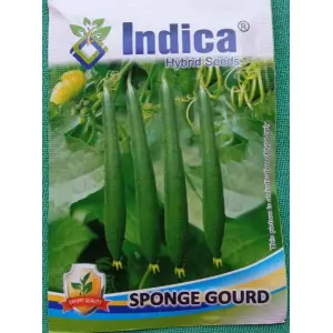 1 Packet Sponge Gourd Seeds (घिरौला पुसा चिल्लो) 3 Gram