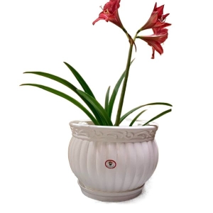 Kanha Matki 12 Inch Flower Pot ( With Plate ) For Indoor Outdoor Garden