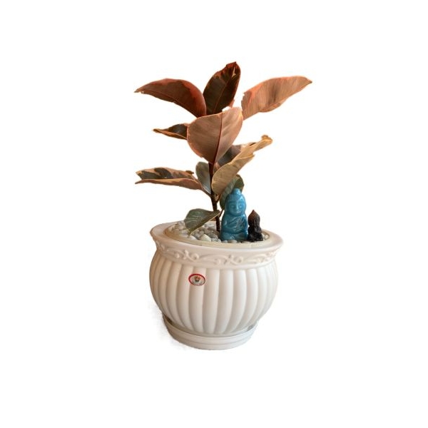 Kanha Matki 8 Inch Flower Pot / Planter ( With Plate ) For Indoor Outdoor Garden - Image 2