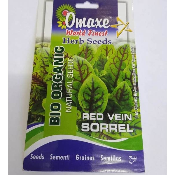 20+ Loose Packed Excellent Quality Seed Of RED VEIN SORREL HERB SEEDS, Can Grow All Over Nepal - Image 4