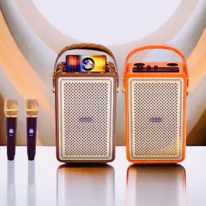(1 Piece) M4203+Boomsbass Wireless Deep Bass Outdoor Party Karaoke Bluetooth LV Speaker Vintage