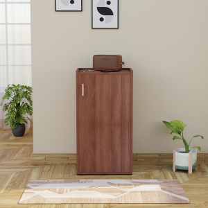 Footsy Engineered Wood Vertical Shoe Rack Or Multipurpose Daraz with Shelf Walnut Finish