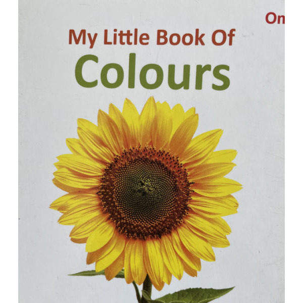 My First Library, Ten Different Title In One Box, Toddler's Books, Hardbound, Published By Om Books International - Image 3